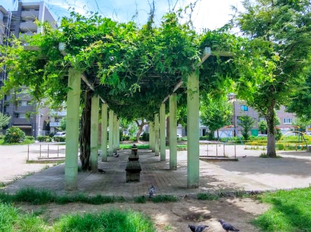 南大江公園