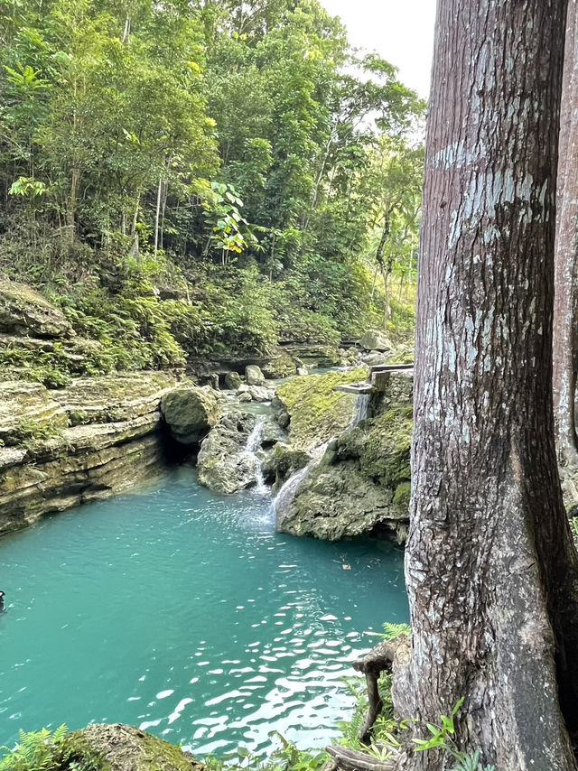 Cancalanog falls Cebu Philippines🇵🇭
