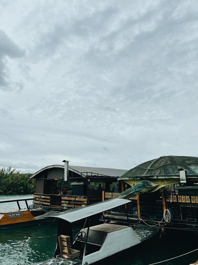 Have you tried eating a buffet while cruising in a Jungle River?