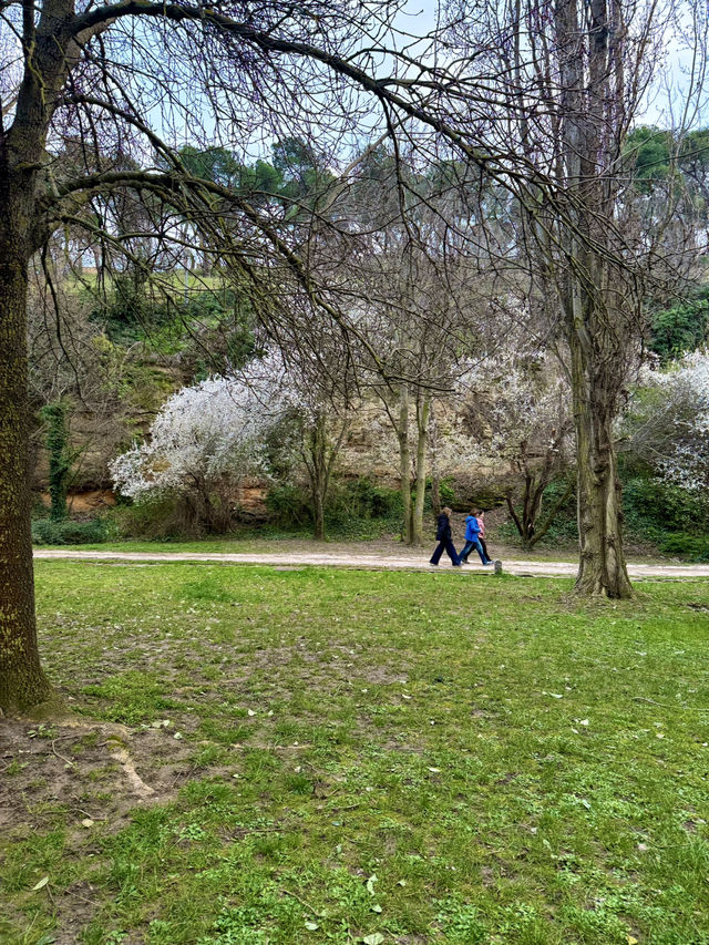 Explorer’s Path to the Castle