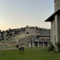 🏕️ Where to Stay in Yellowstone National Park