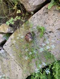 Hiking in Halidzor, Armenia is a great adventure for nature lovers and outdoor enthusiasts.