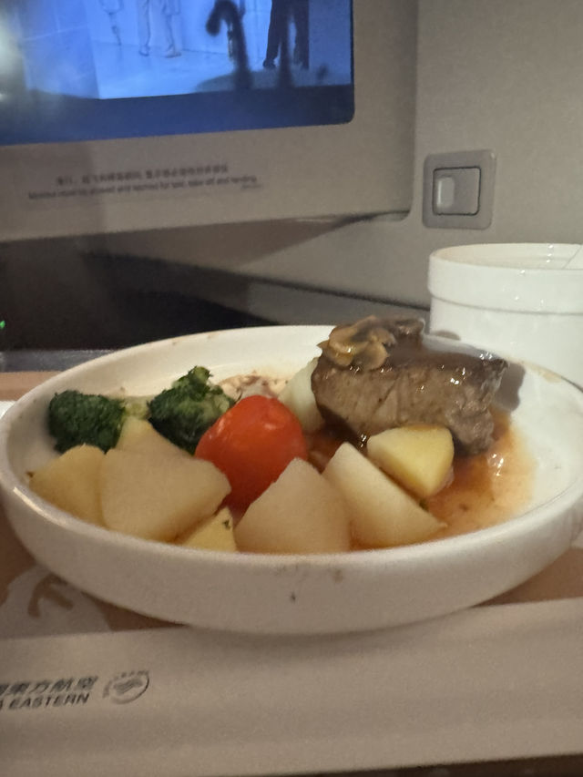 【搭乗記】中国東方航空欧州便ビジネスクラス - MU771便 上海発アムステルダム行き搭乗レポート
