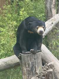 Hertfordshire Zoo… get up close and personal 