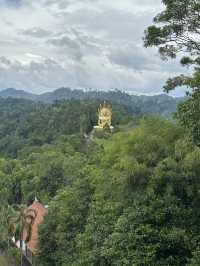 Temple lost in a jungle 