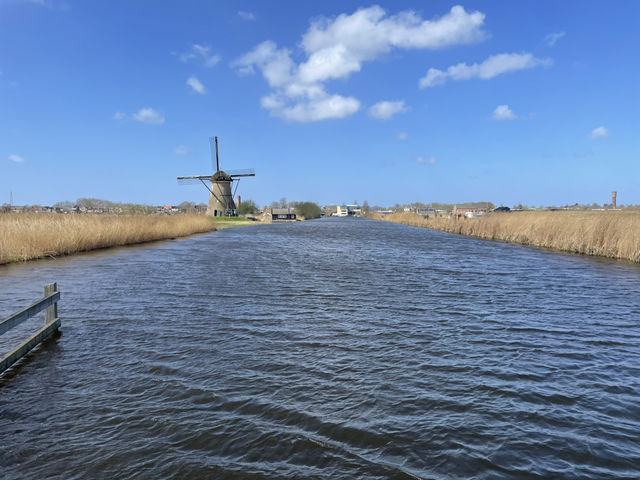 Windmills and Masterpieces: A Dutch Day from Kinderdijk to The Hague