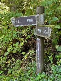 one of my favorite routes in Japan 🇯🇵 