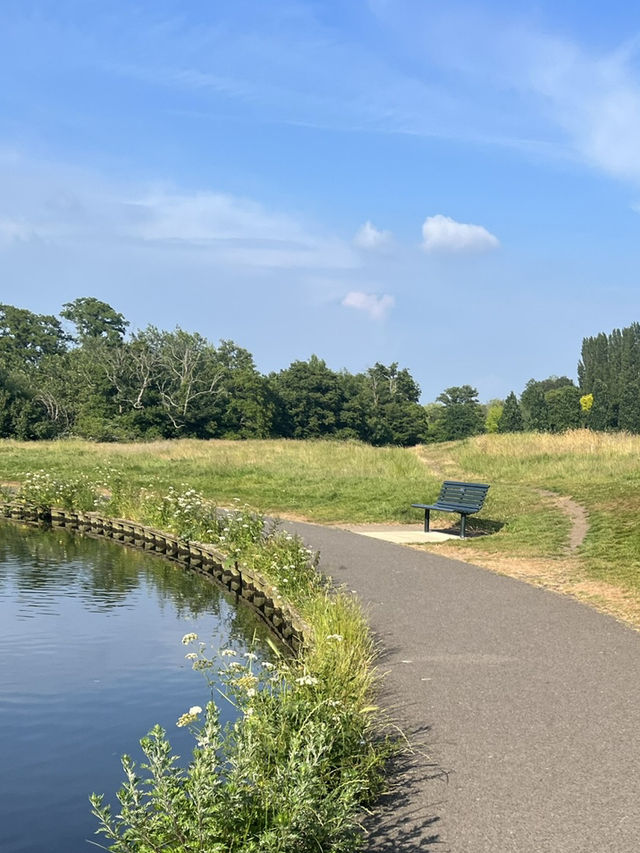 Southampton Serenity: Yoga + Run in Nature
