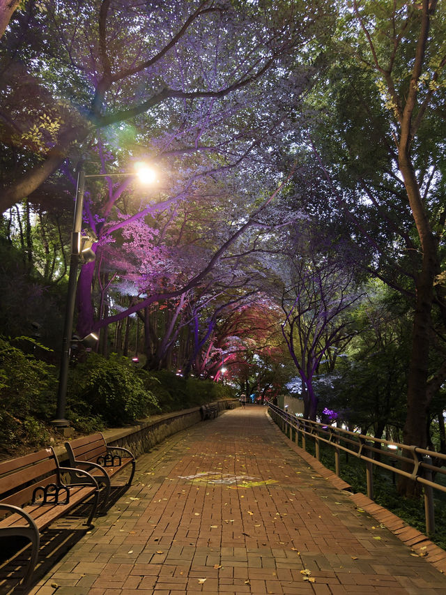 🇰🇷✈️🇨🇳 China in Korea? Step into Incheon's Magical Chinatown Park! ✨