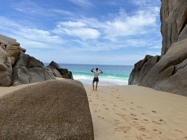 Baja California for Divers – Skip Cabo, Go Deeper 🌊🐠