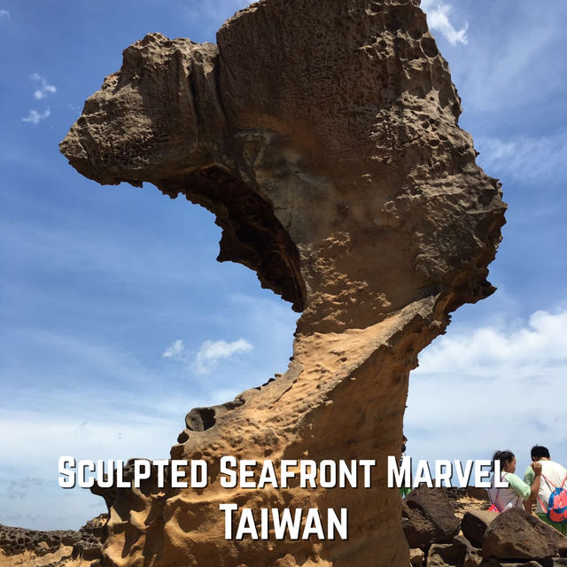 Taiwan🪨Yehliu Geopark: Taiwan's Wonderland by the Sea! 🌊