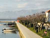 Sabunjar Restaurant Review in Zadar Before Exploring Branimir Town