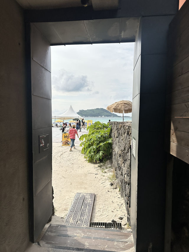 🌊 Western Jeju Day Trip: Nature, Culture & Matcha ☁️
