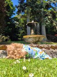 Most people miss Kailzie Gardens when they visit Scotland 😢