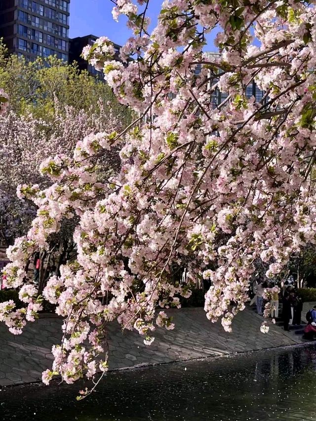 🌸 A Day in Quanzhou’s Timeless Streets: Ancient Meets Modern  🌅