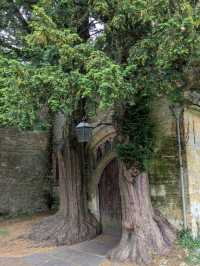 A serene evening at Cotsworld