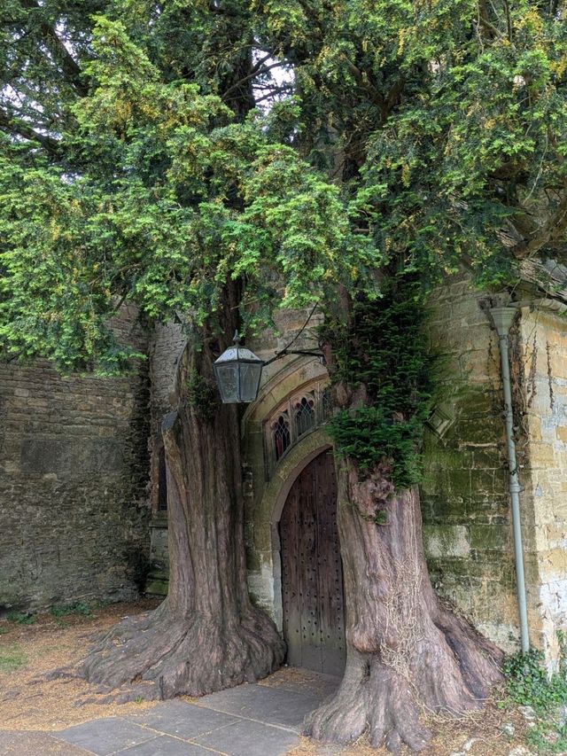 A serene evening at Cotsworld A serene evening at Cotsworld