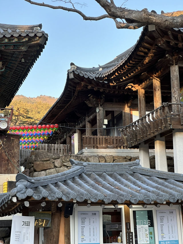 Get Ready to discover the hidden wonders of Daegu!