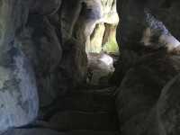 Bois de Boulogne: Must-Do Activities & Halloween Fun 🎃🌳