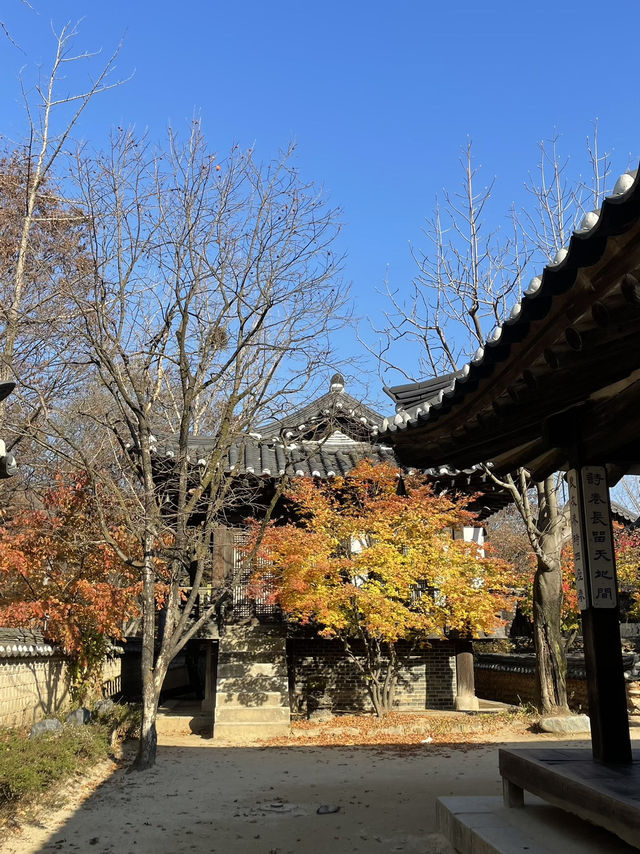 Autumn Suwon Vibes🍂