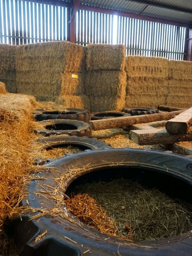 The Barn at Newmill, Dolphinton – A Fun, Farm-Filled Family Day Out