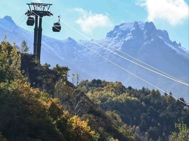 Autumn Majesty at Mount Wutai 🍂🏔️