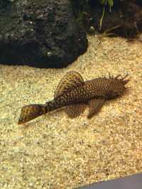 🌊 里斯本海洋博物館遊記