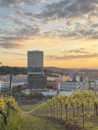 위에서 본 슈투트가르트