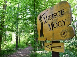 Deep in the Polish Forest: Miejsce Mocy 🌲✨