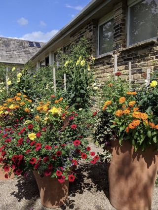 Harlow Carr offers a gentle retreat into nature. 🌿✨🌱