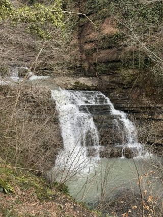 Zmeykovskiye 폭포: 소치 위 숲길