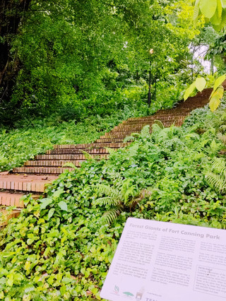 Singapore 2026: The World’s First Digital-Green Sanctuary 🇸🇬