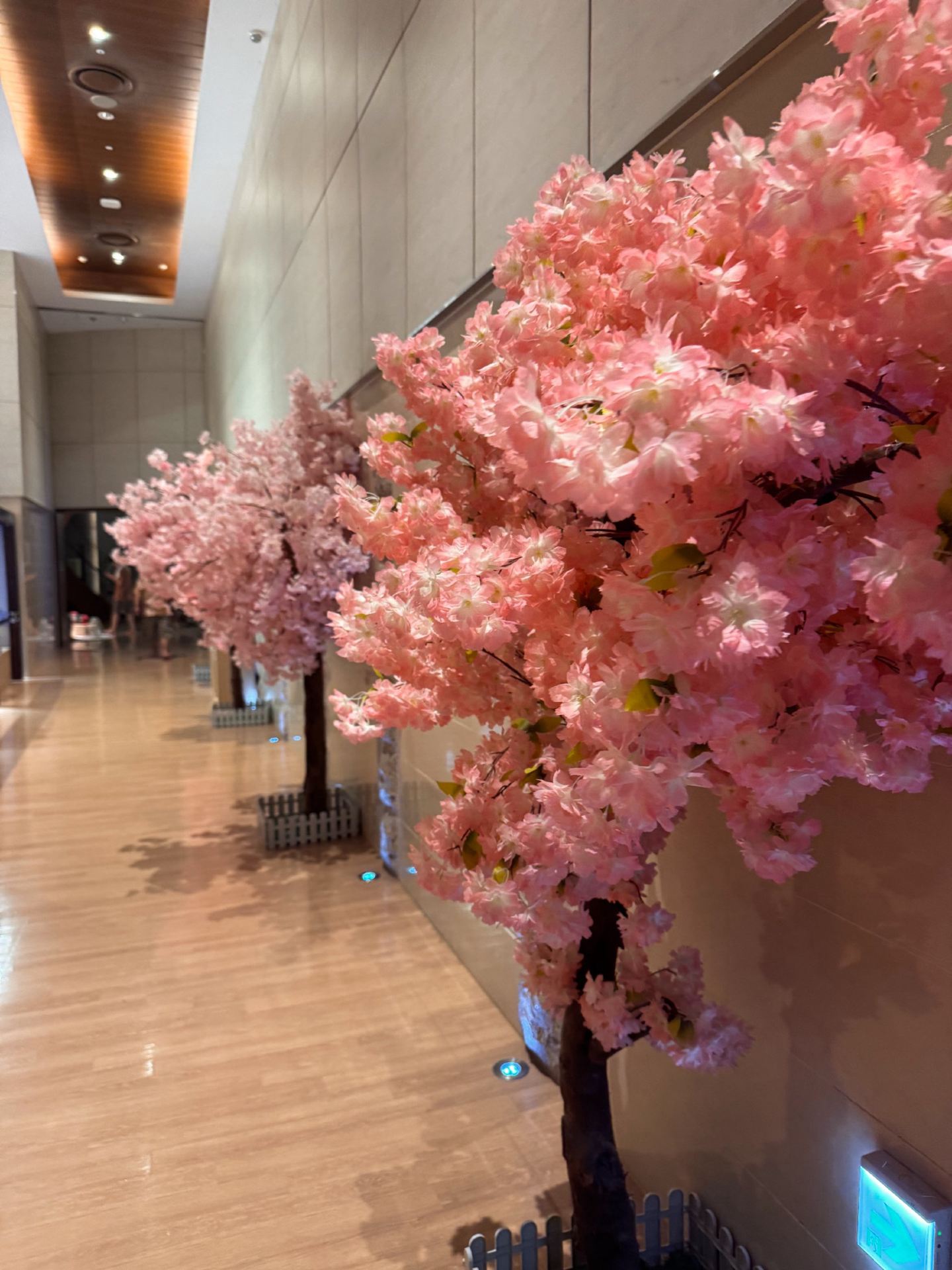 釜山 Spa Land 值得去嗎？我在韓國汗蒸幕的體驗