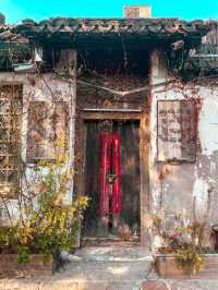 Dive into Culture at Xitang Water Town