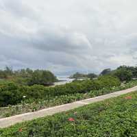 打卡深圳灣流花山公園