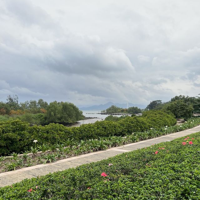 打卡深圳灣流花山公園
