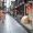 TravelCultureGuru*99