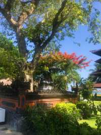Living in the most central location of Kuta 🏨