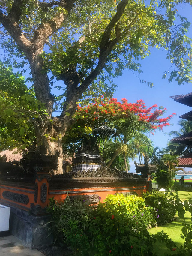 Living in the most central location of Kuta 🏨