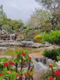 Guangdong Dongguan Botanical Garden | Spring has no direction, it only blooms.