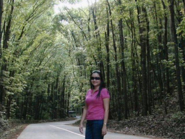 Enchanting Man Made Forest in Bohol 🇵🇭
