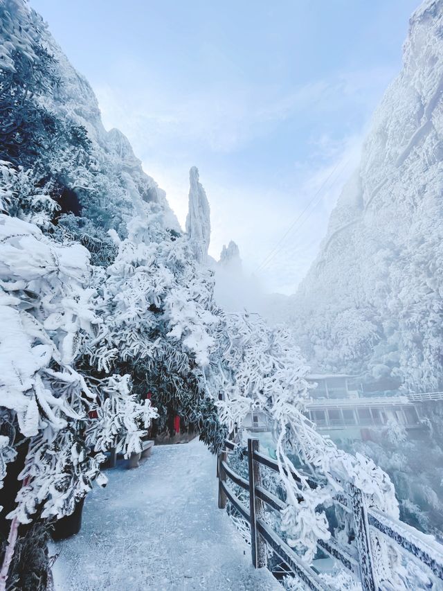 冰雪世界湖南莽山，銀裝素裹真的是賞雪聖地！