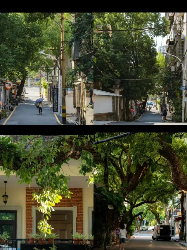 I bet you've never been to this hidden gem street in Xiamen
