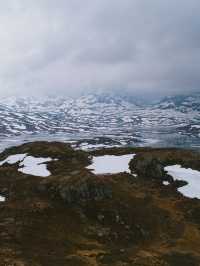 A Majestic Encounter with Icelandic Whales in the Fjords