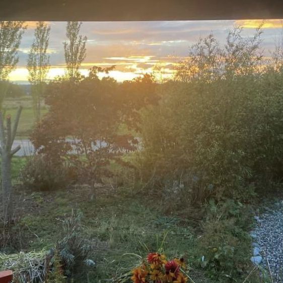 Coming home Coming home