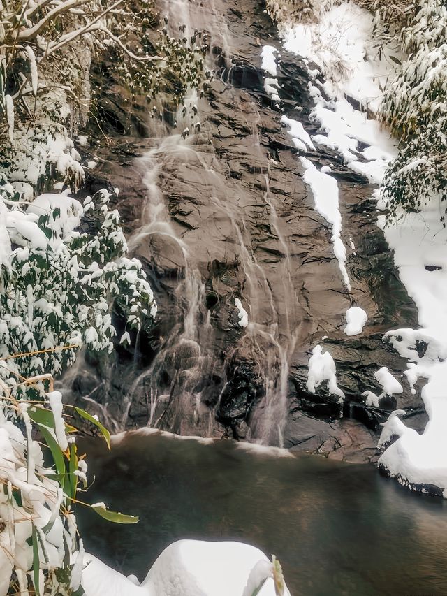 不是東北去不起只是龍王山更具性價比