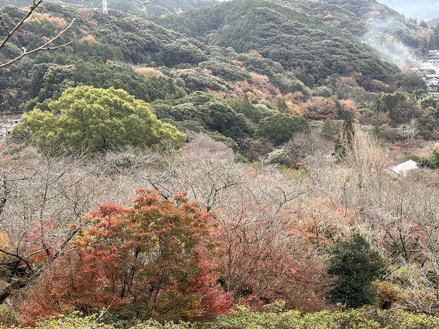 武雄溫泉之樂園