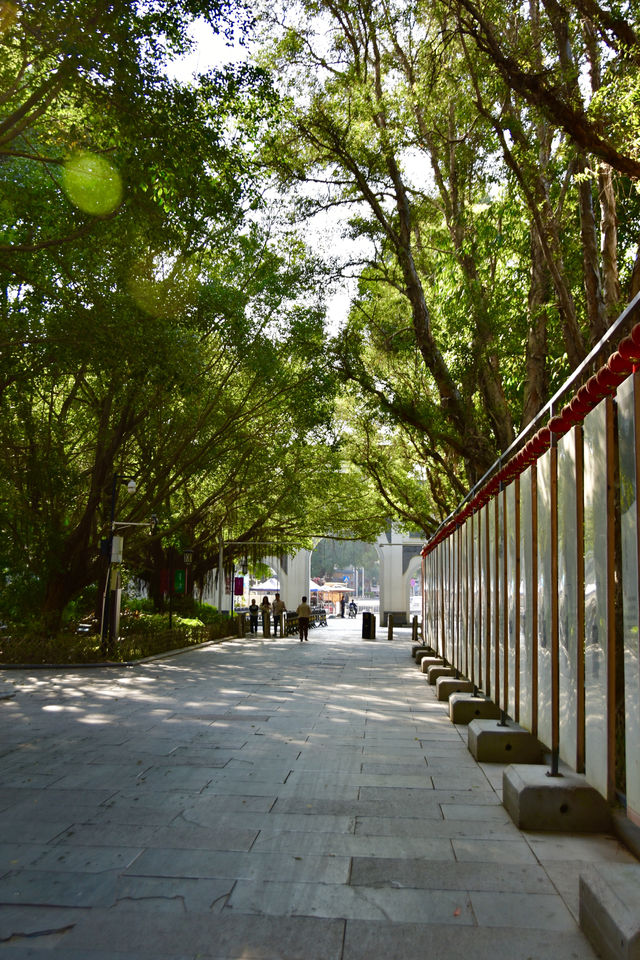 深圳觀瀾版畫村，詩意情懷世外桃源
