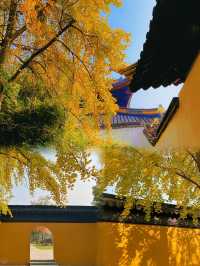 美！靜謐秋意，一柱清流的絕美寺廟｜蘇州西園寺