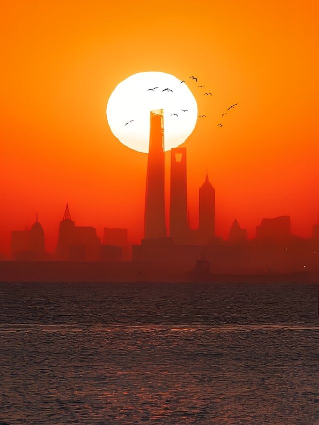 上海崇明島的秋色倒計時打卡攻略